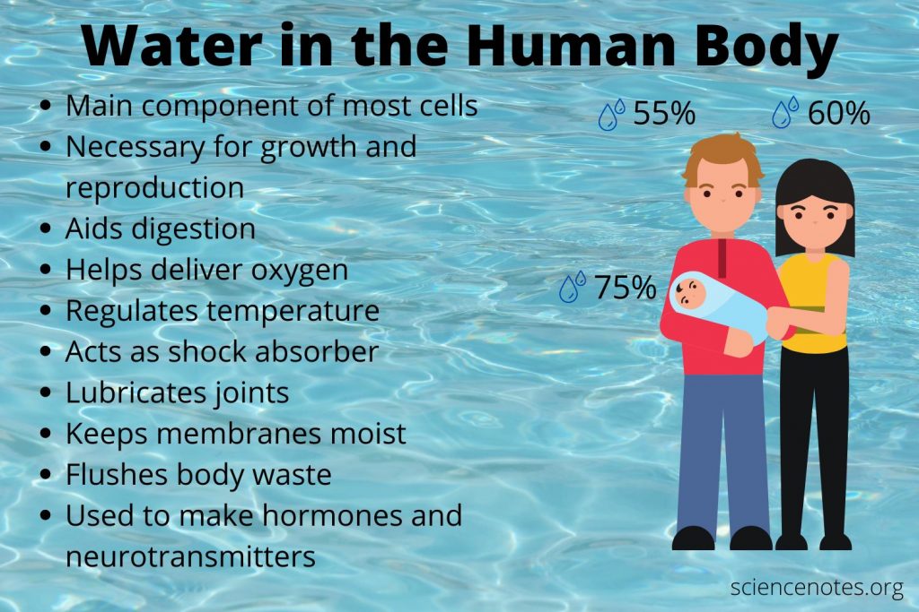 does body fat and body water affect bac Volume Theory Lesson How Much Weight is Water