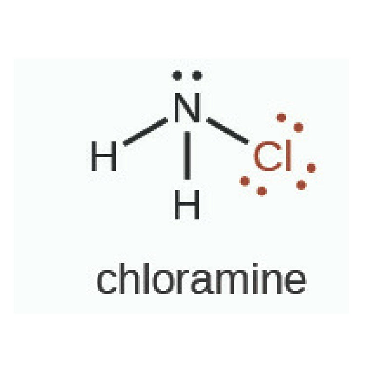 Chlorammine Chloramine Water Filtration: Everything You Need to Know - Filtersmart