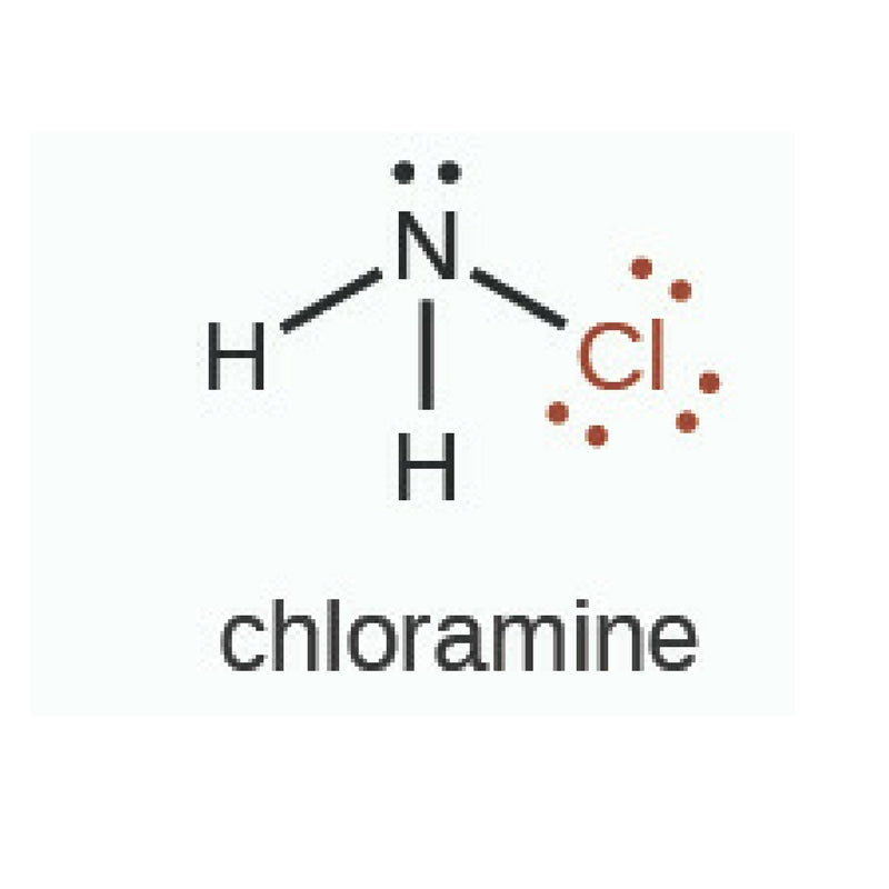 Chloramine Water Filtration: Everything You Need to Know