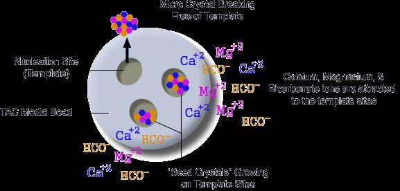 How Does Template or Nucleation Assisted Crystallization Work?