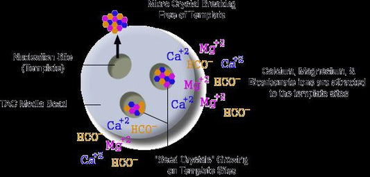 How Does Template or Nucleation Assisted Crystallization Work?