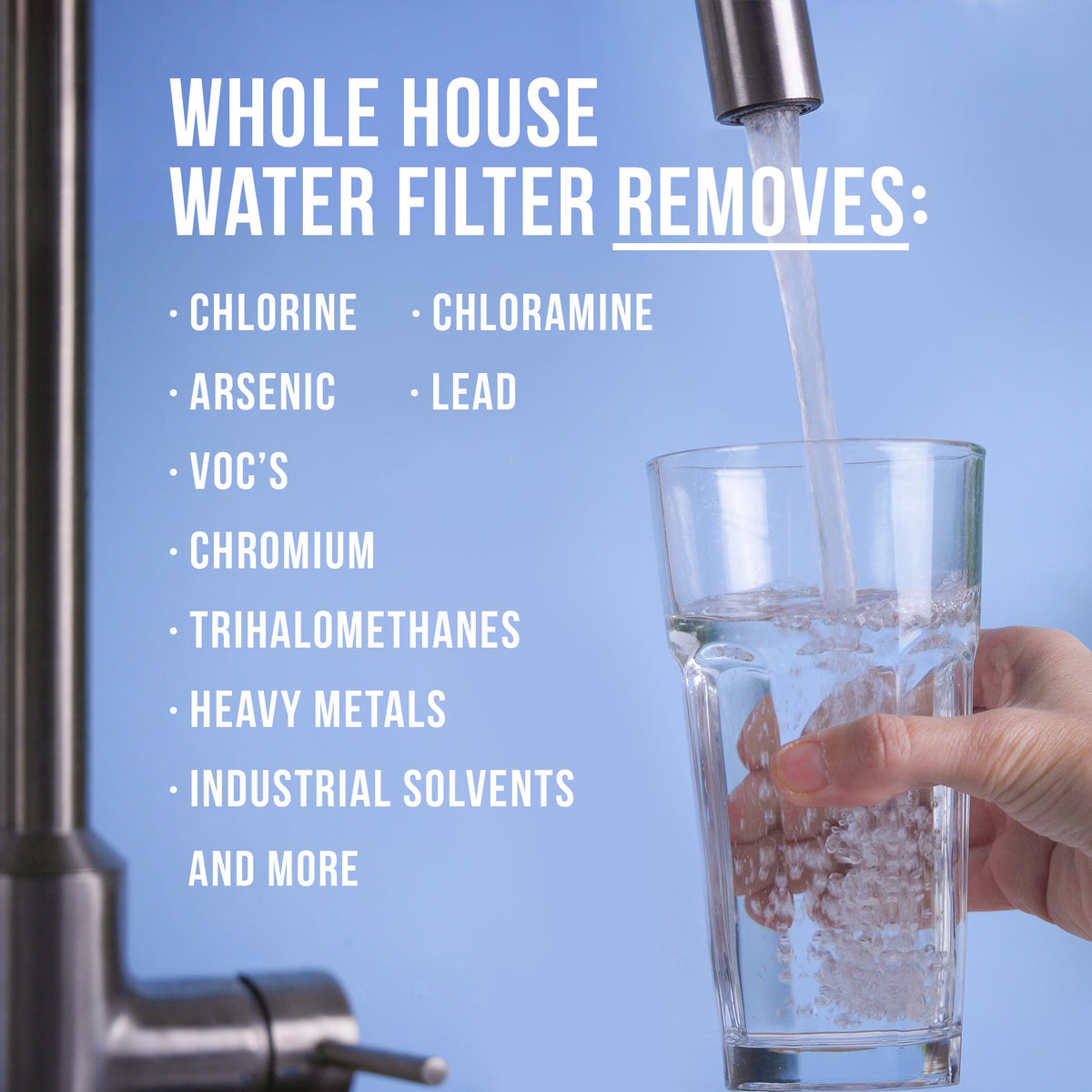Whole House Water Filter System- FS1000-1 Million Gallon